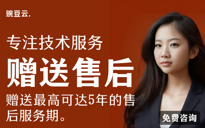 豌豆云-专注于企业技术服务