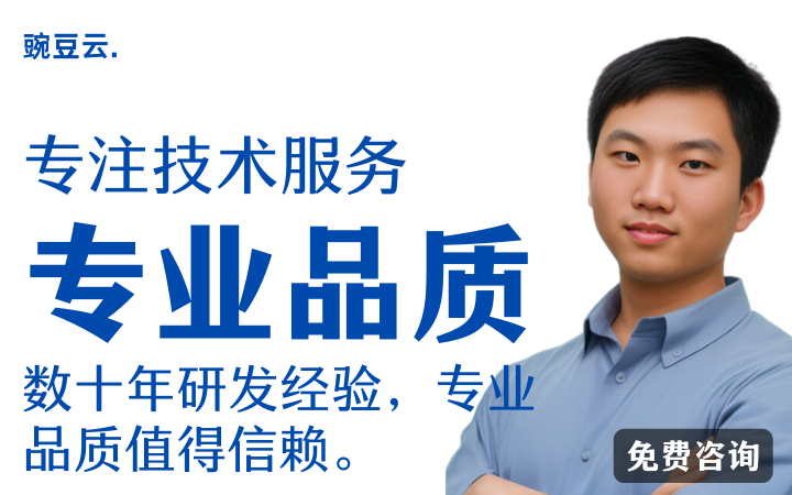 豌豆云-专注于企业技术服务