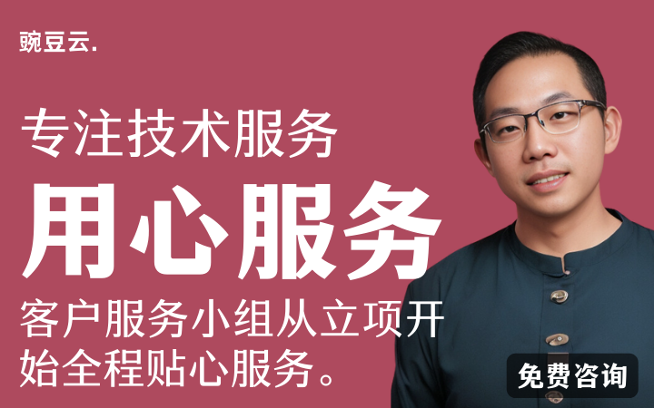 豌豆云-专注于企业技术服务