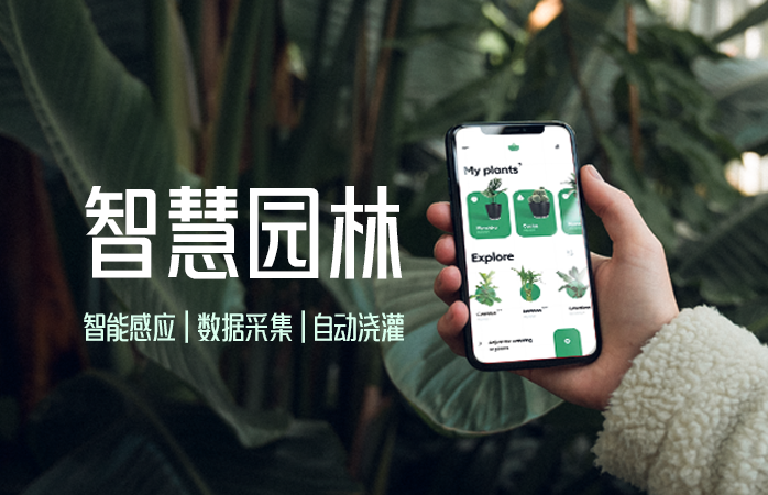 八戒软件开发服务