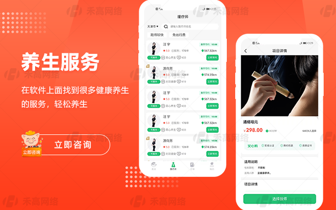 禾高网络科技-国家企业-专注研发15年