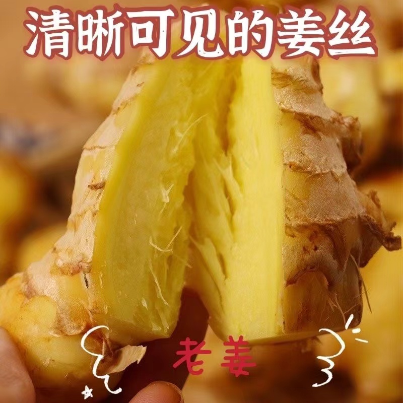 fe5ef5d1bcb8ef89.jpg