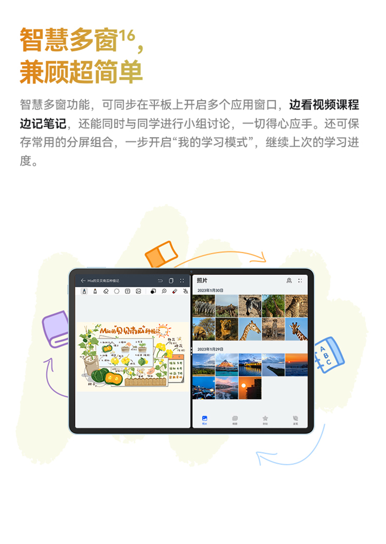 详情12