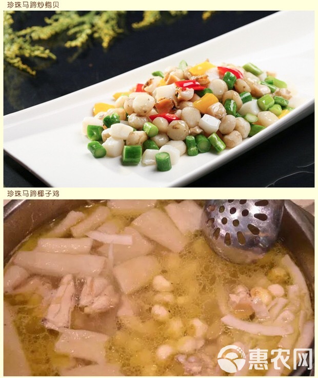 珍珠马蹄 产地直供批发新鲜珍珠马蹄 去皮珍珠马蹄食用农产品 珍珠马蹄 产地直供批发新鲜珍珠马蹄 去皮珍珠马蹄食用农产品