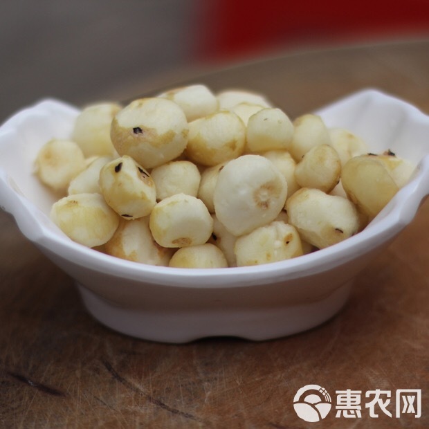 珍珠马蹄 产地直供批发新鲜珍珠马蹄 去皮珍珠马蹄食用农产品 珍珠马蹄 产地直供批发新鲜珍珠马蹄 去皮珍珠马蹄食用农产品