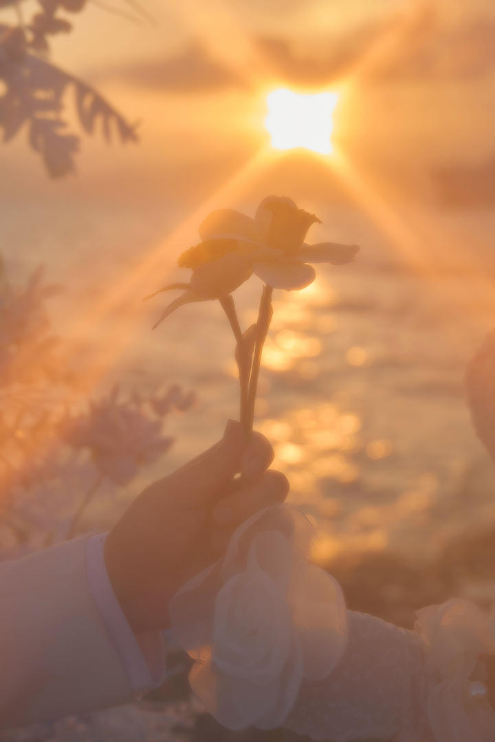 海风编织爱的誓言✨浪漫海景婚纱照