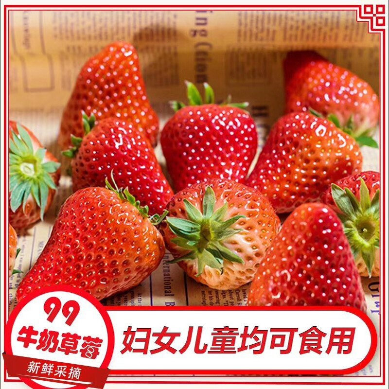 【顺丰直达】四川大凉山牛奶草莓3斤 丹东99红颜草莓生鲜现摘现发 新鲜水果礼盒装 3斤特大果礼盒装