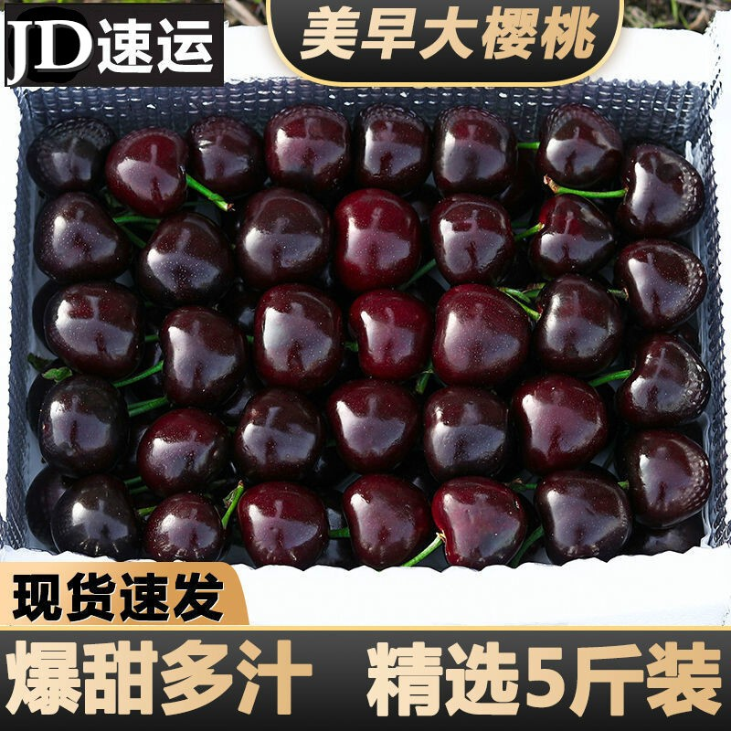 现货大连美早大樱桃新鲜水果车厘子 JJ级钻石果(28-30mm)净重2斤