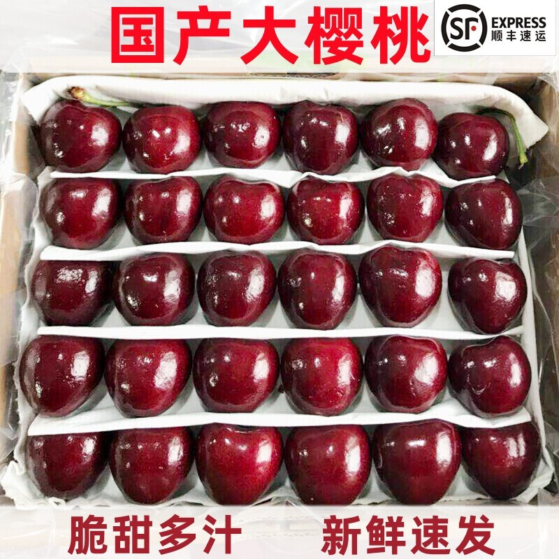 【顺丰空运/女生节礼物】国产大樱桃 大连美早樱桃车厘子现货车厘子大樱桃大果新鲜水果孕妇整箱 爱心礼盒 单J 1500g【送女生甜甜的爱】