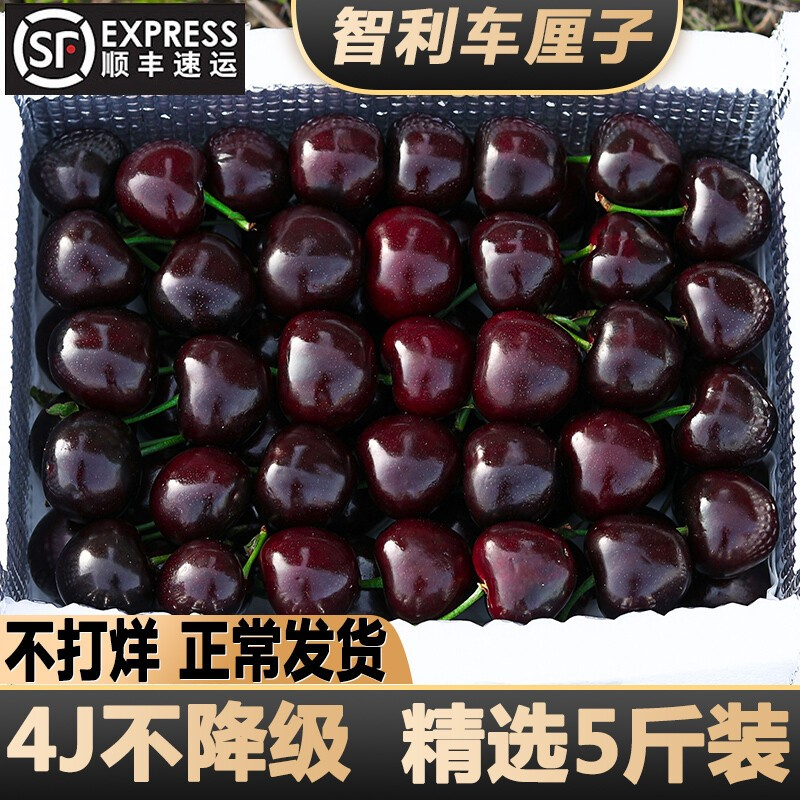 玫栀 智利车厘子新鲜水果5斤装特大樱桃10当季整箱礼盒4j孕妇进口 1000g JJ 28mm(含)-30mm(不含)