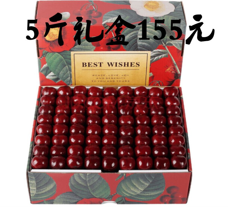 智利大樱桃车厘子新鲜应季孕妇水果礼盒装新年礼品 J级精品果(26mm-28mm)净重500g