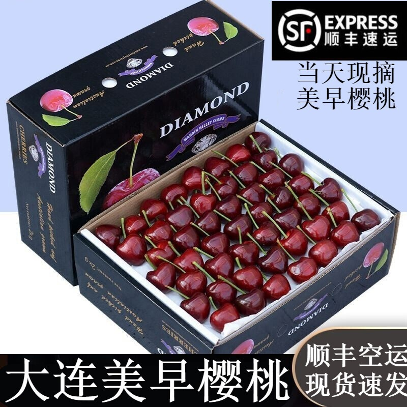 车厘子 现货速发 送人送礼 孕妇水果 国产车厘子大樱桃一级果 礼盒5斤装（顺丰空运/场地直发多地次日达） J 26mm(含)-28mm(不含)