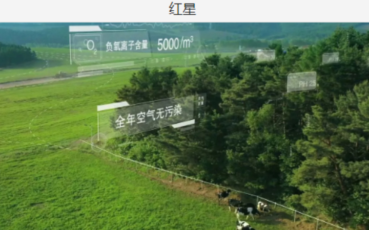 行上旗艦店_專注動(dòng)畫(huà)18年