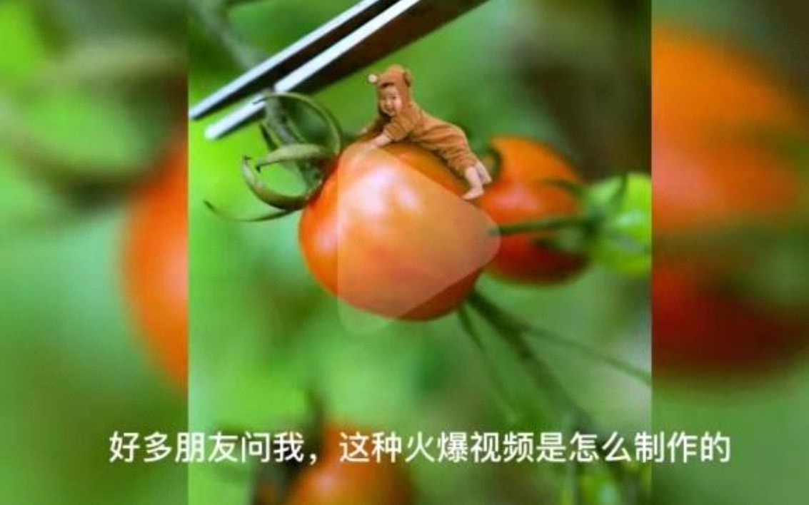 澤楷品牌全案機(jī)構(gòu)